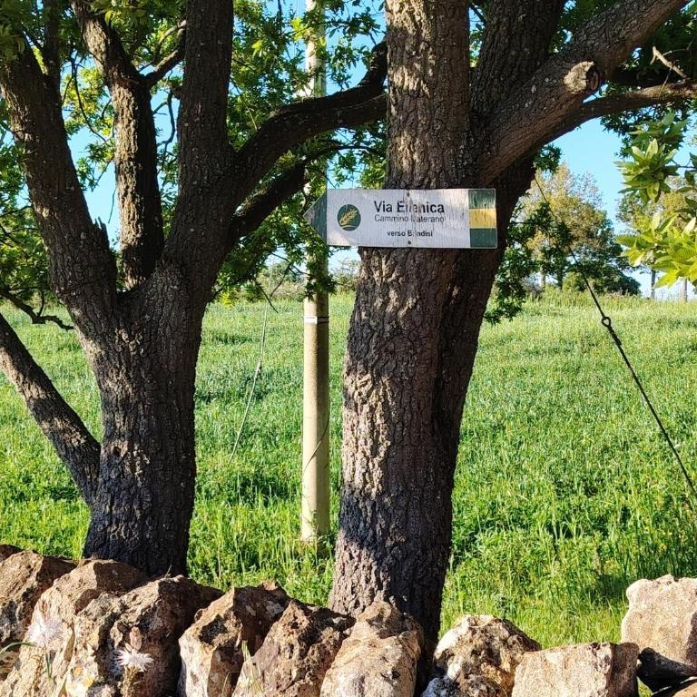 Due Coni e Una Campagna - Maison 1 Chambre - 49