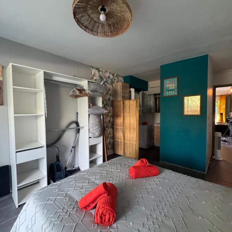 Agréable T2 traversant RDC avec terrasse - balcon - Parking 2 places - Clim portative - Appartement 1 Chambre - 7