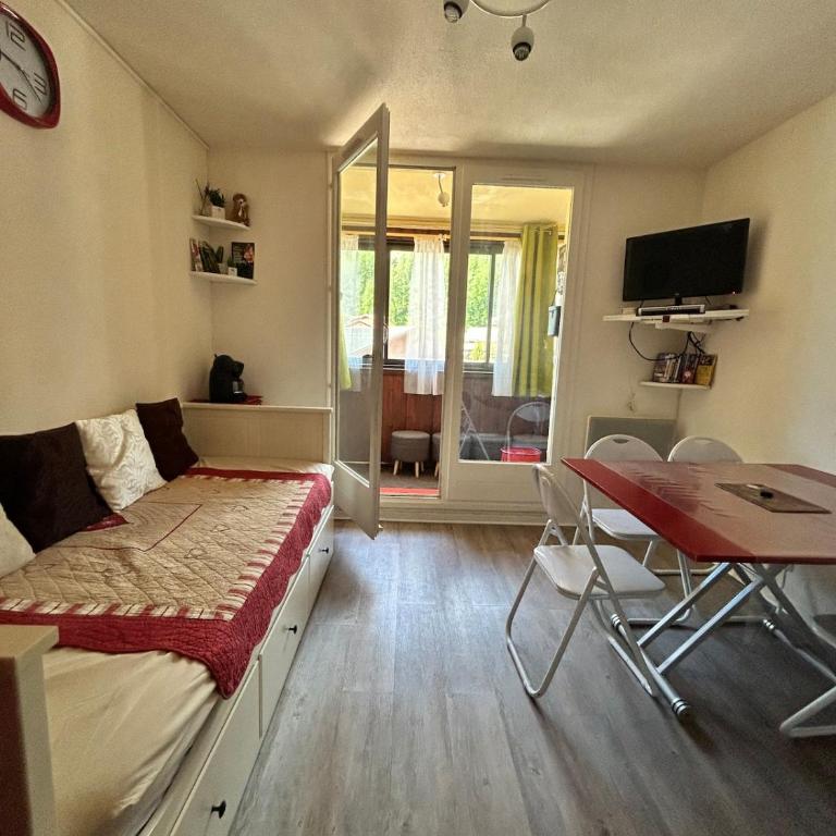 Spacious winter ski resort La Foux D'Allos - Two-Bedroom Apartment - 22
