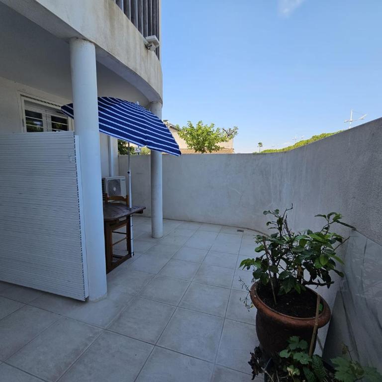 Rdc D Port et Mer - Appartement 1 Chambre - 31