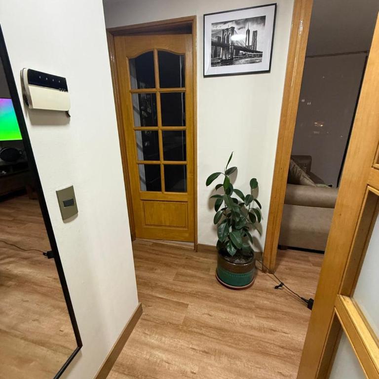 Armando Moock Macul - One-Bedroom Apartment - 6