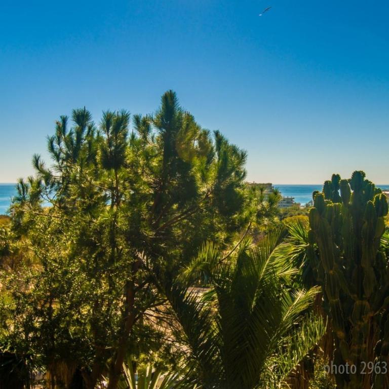 PAX Benalmádena Suites - Deluxe Queen Studio - 19