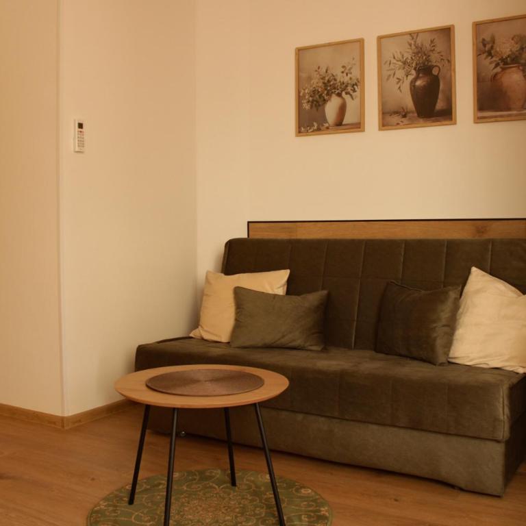 Acoustic Apartments - One-Bedroom Apartment - 2