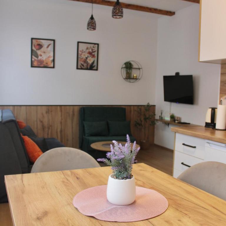 Acoustic Apartments - One-Bedroom Apartment - 4