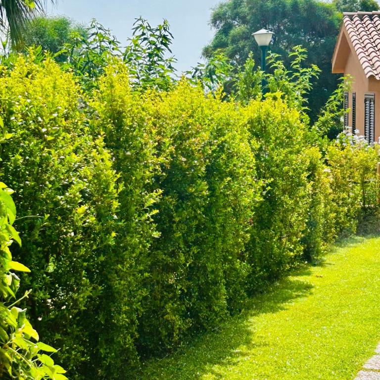 Casa La Thumbergia - Two-Bedroom House - 5