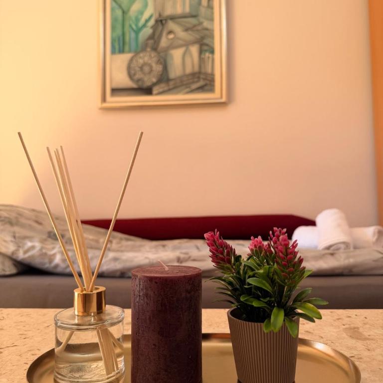 Haad Apartments in Sarajevo Centar - Apartman sa 1 Spavaćom Sobom - 4