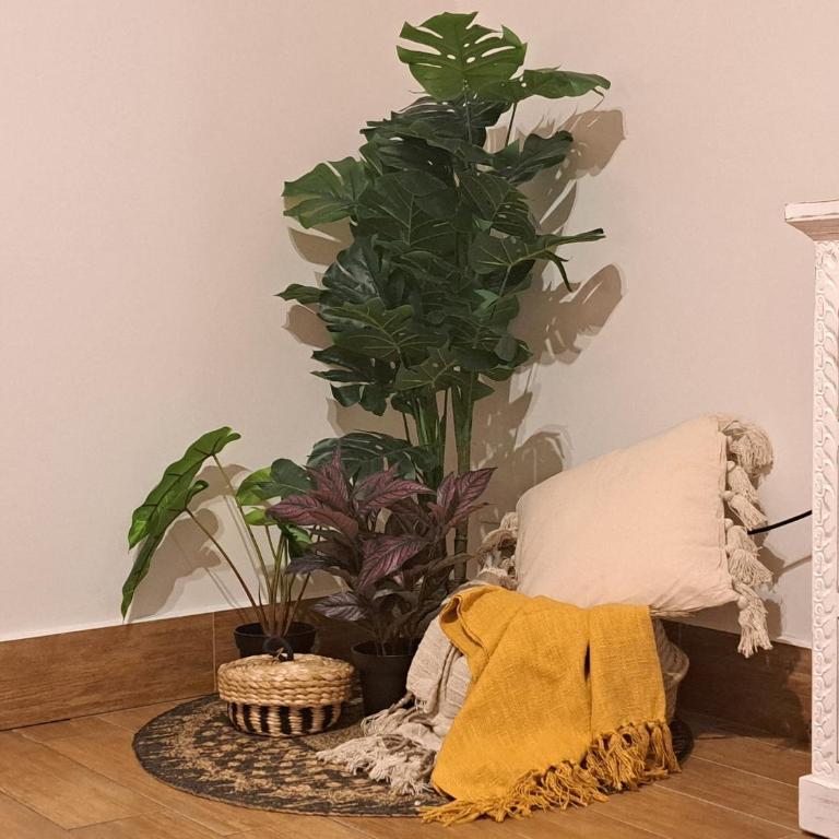 Boho Garden Apartment - Appartamento - 12