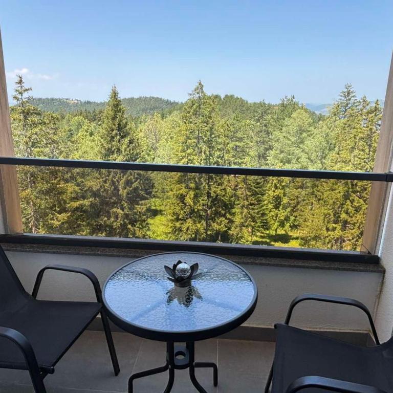 Trebevic Residence Apartment - Free Parking - Apartman sa 1 Spavaćom Sobom - 17