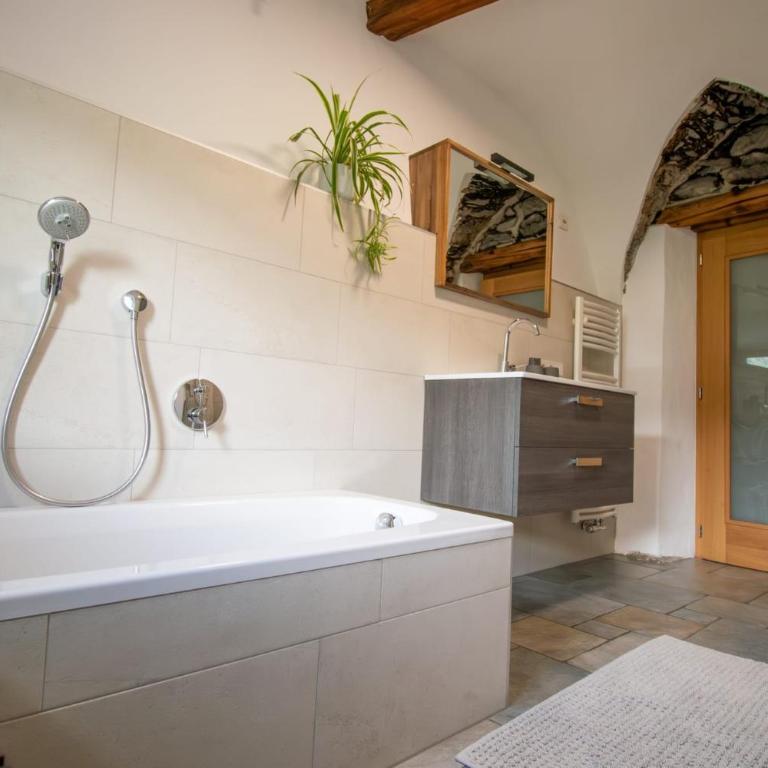 Saxöler Brixen - Apartamento de 1 dormitorio con vistas al jardín - 13