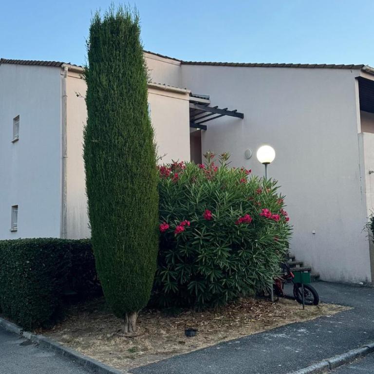 Azur Pied-à-Terre Cannes Mandelieu - Appartement 1 Chambre avec Jardin - 9