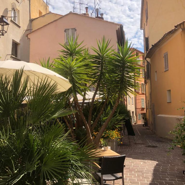Petite maison cosy centre-ville Hyères - Casa con 1 dormitorio - 32