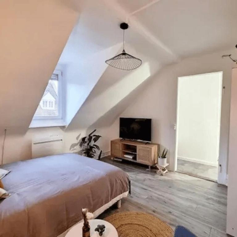 SOH Rent Strasbourg Saint Florent - Appartement 1 Chambre - 1