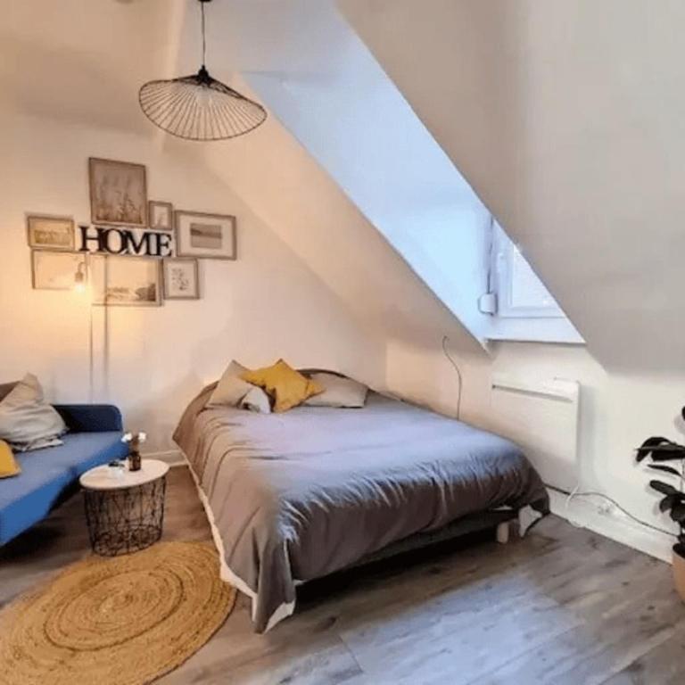 SOH Rent Strasbourg Saint Florent - Appartement 1 Chambre - 3