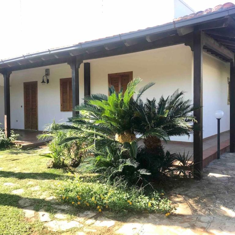 Pino's Home - Villa con Vista Giardino - 3