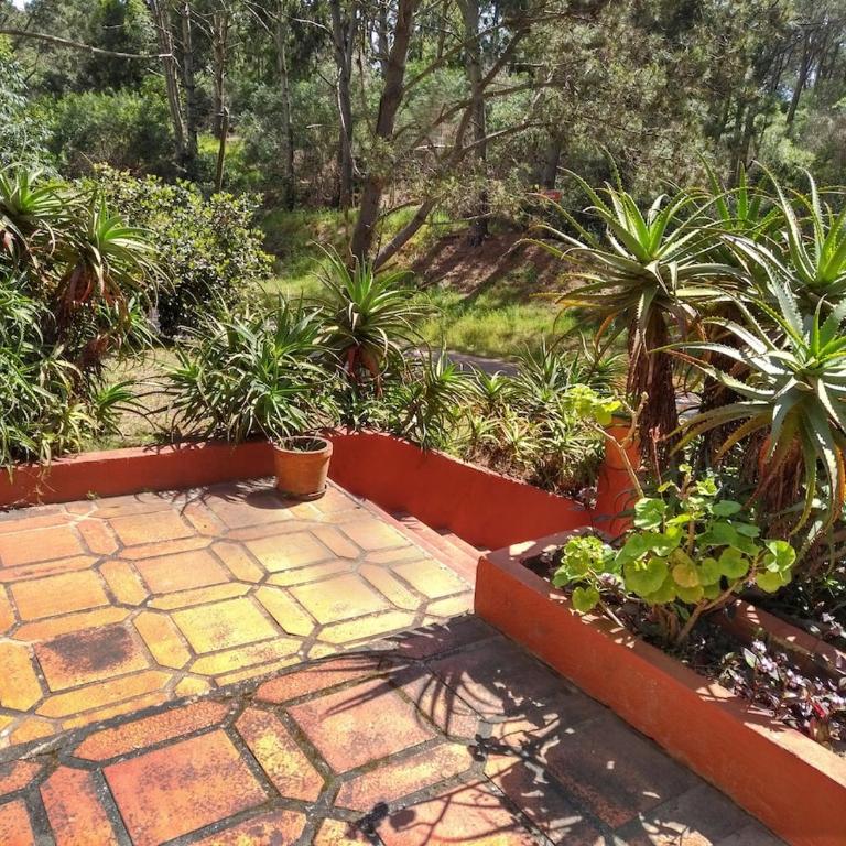 Beach and Forest House - Club del Lago - Villa de 3 dormitorios - 10