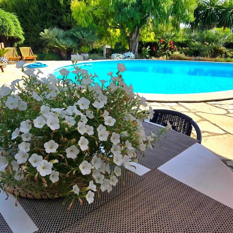 Villa de charme plain-pied piscine aperçu mer - Villa 3 Chambres - 6