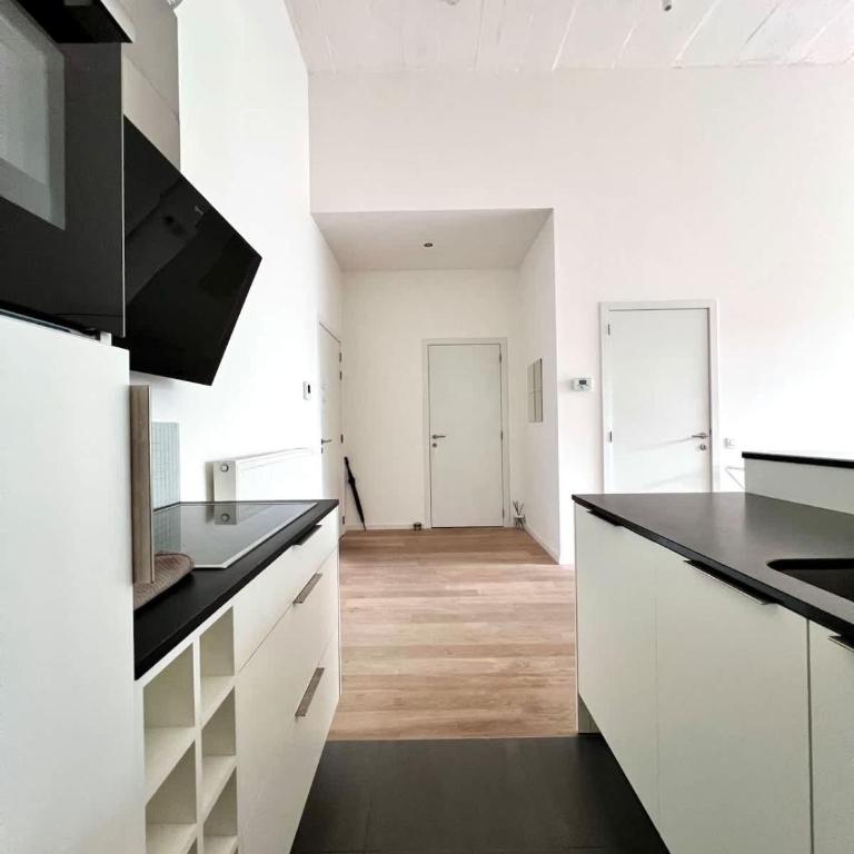 Modern Loft Bright in Central Milan for 4 - Appartamento - 40