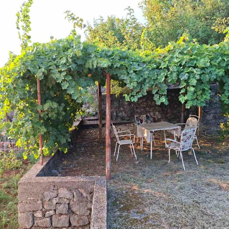 Mareza - One-Bedroom Apartment - 13
