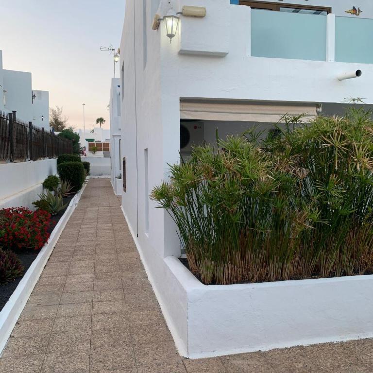 PARAISO Jardin del Atlantico - Apartamento de 1 dormitorio - 10