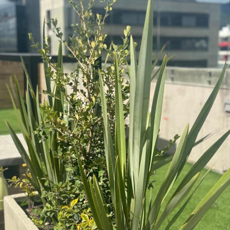 Coworking - Apartment with private terrace Parque 93 - Apartamento de 1 dormitorio - 50