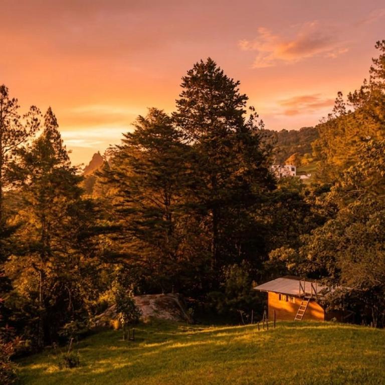 Kai Ecoglamping - Apartamento de 1 dormitorio - 11