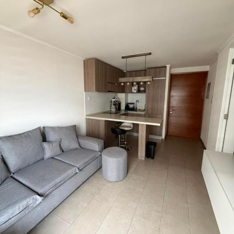 Hospédate con una vista de postal, en la comuna de Macul Este acogedor apartamento de1 Habitación 1 Baño con una laguna navegable - One-Bedroom Apartment - 7