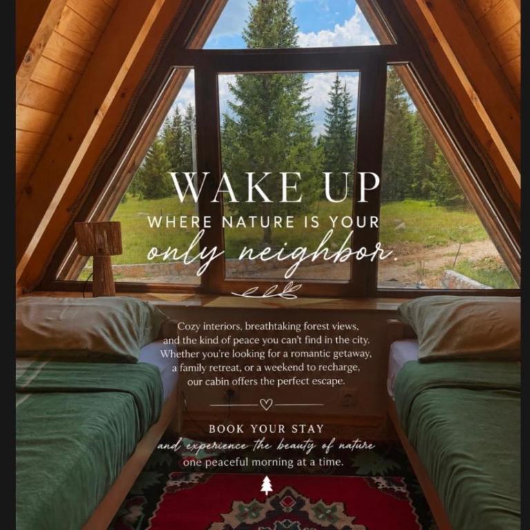 BigSky - One-Bedroom Apartment - 16