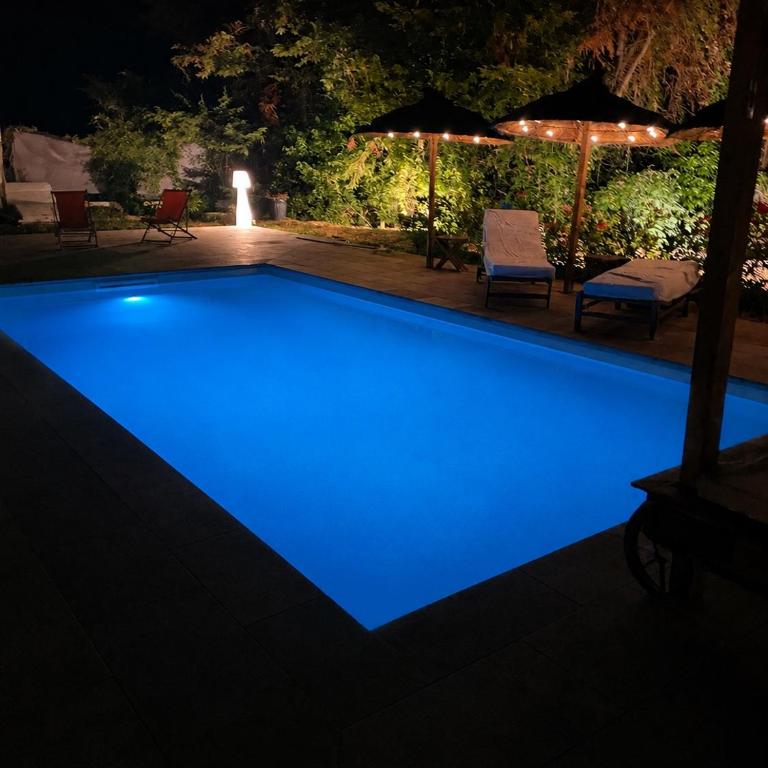 Domaine des Oliviers, Elegant villa with swimming pool - Villa - 3