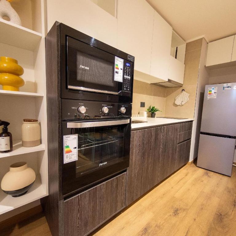 AR Charming Apartment in Downtown Santiago - One-Bedroom Deluxe Apartment - 10