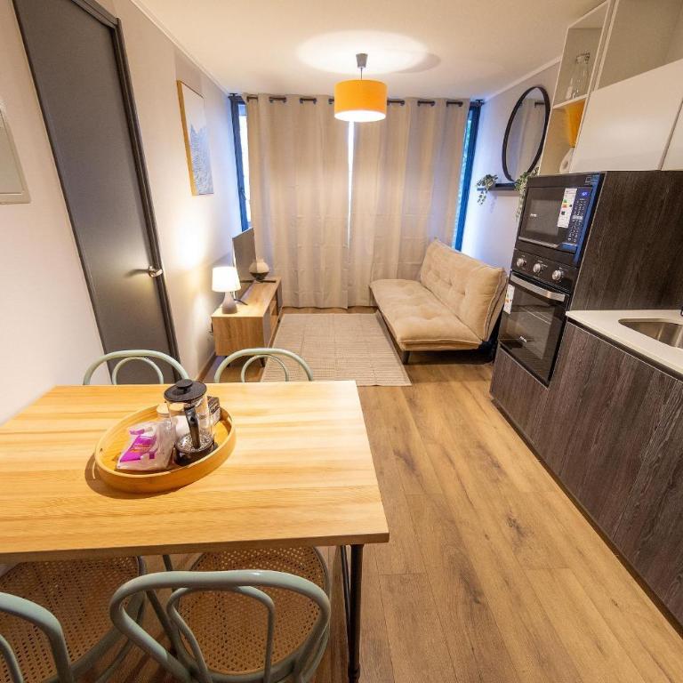 AR Charming Apartment in Downtown Santiago - One-Bedroom Deluxe Apartment - 25