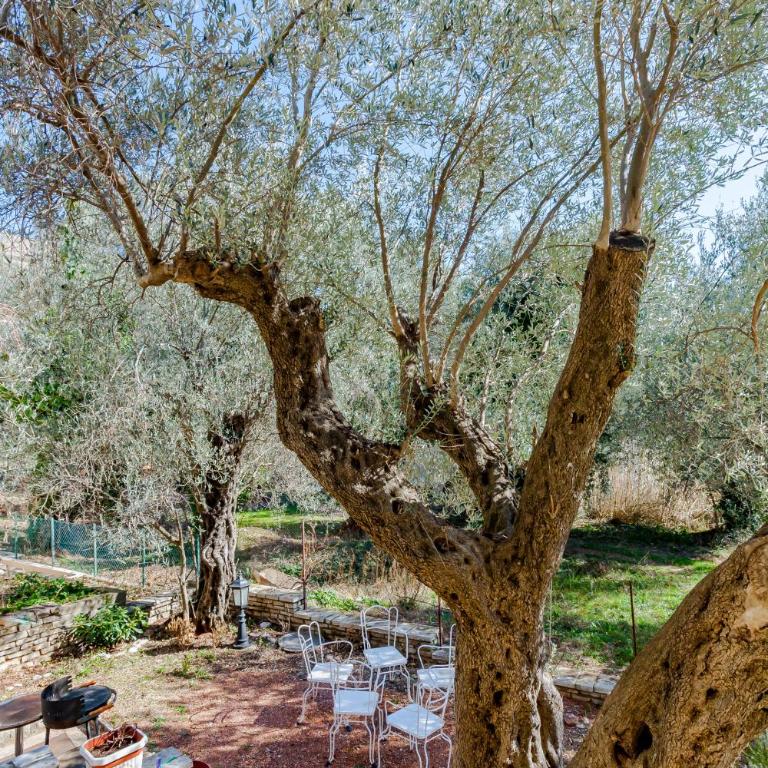 Gregovic Family Apartments - Apartman sa 1 Spavaćom Sobom i Pogledom na Vrt (4 Odrasle Osobe) - 5