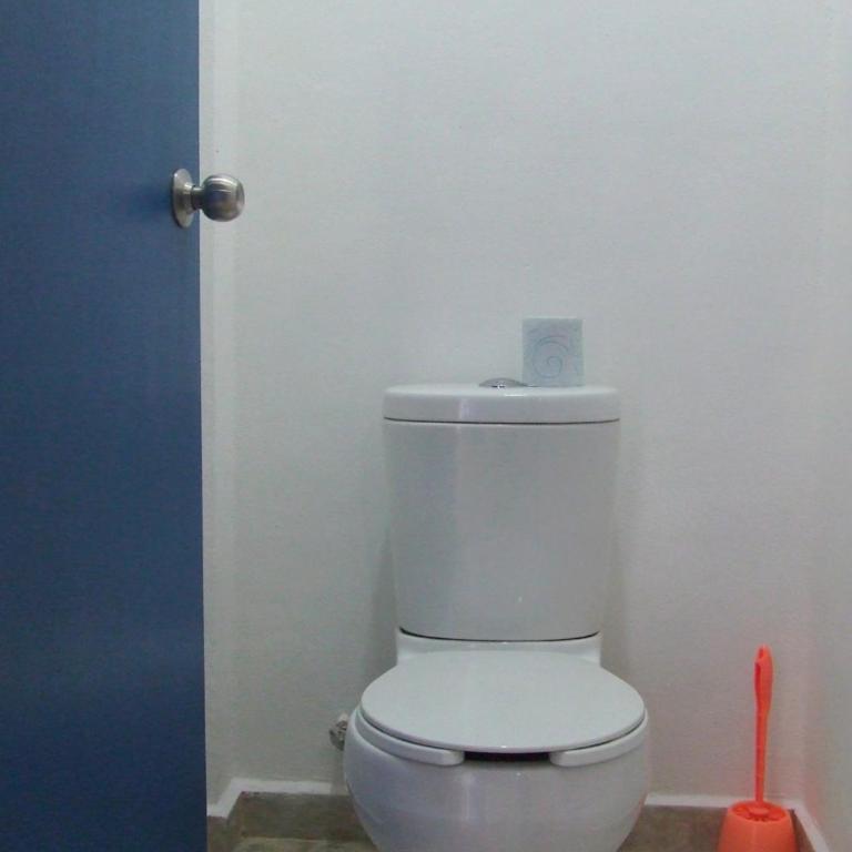 Hostel Humanity - Puerto Morelos - Single Bed in Mixed Dormitory Room - 3