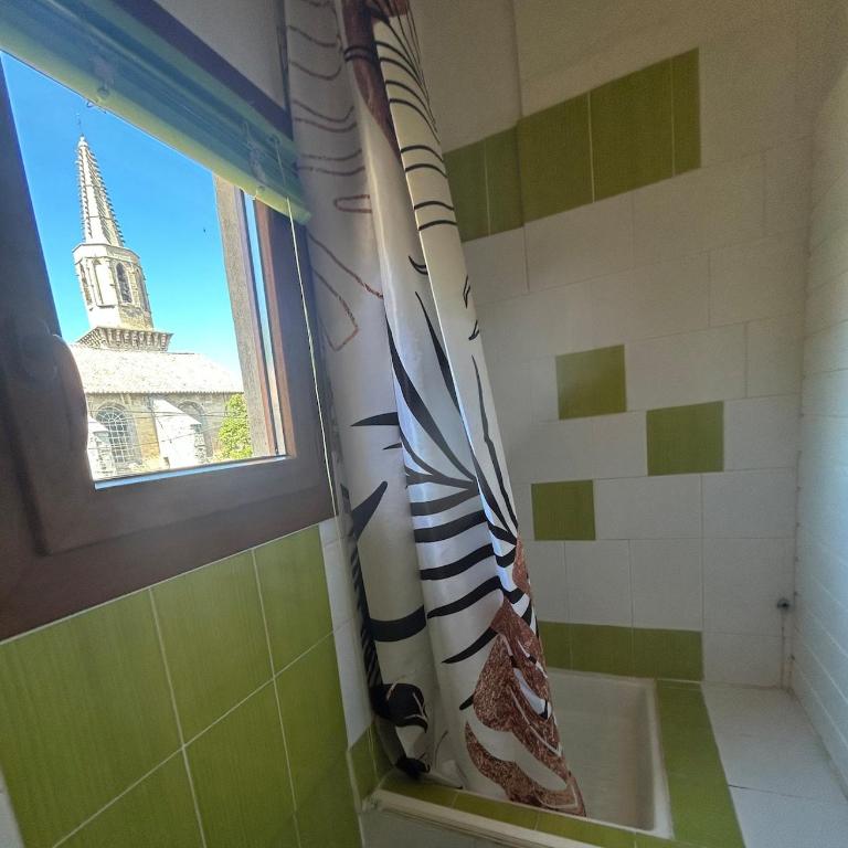 Le Nid des Carmes - Climatisation, Vue jardin et église - Appartement 2 Chambres - 18