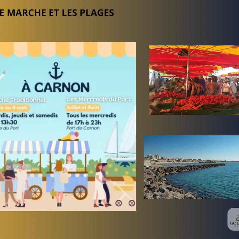 T2 à 50 m plage Parking Clim Wi-Fi Rénové - Appartement 2 Chambres - 45