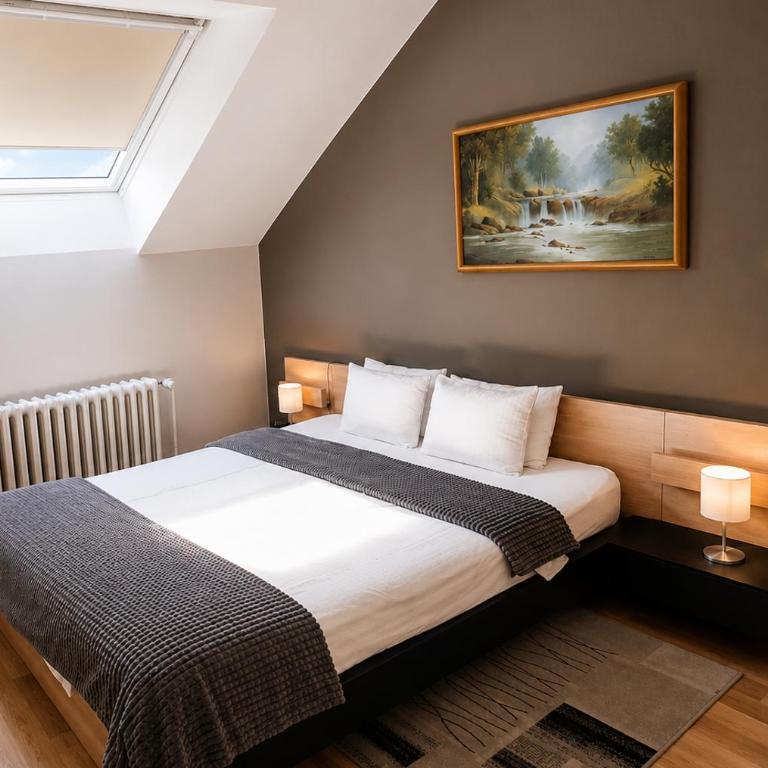 Veliki Garni Hotel - Double Room - 3