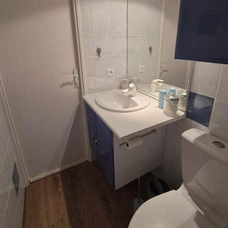 Port Camargue, vue marina, clim et parking - Apartamento de 2 dormitorios - 11