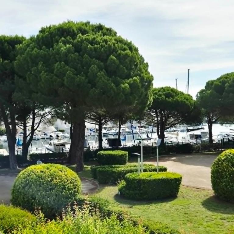 Port Camargue, vue marina, clim et parking - Apartamento de 2 dormitorios - 12