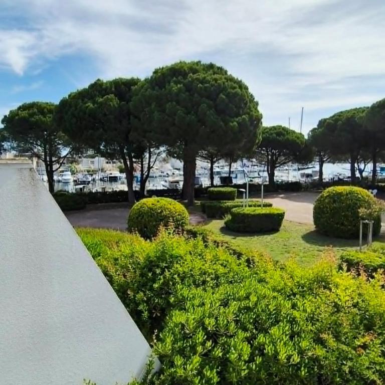 Port Camargue, vue marina, clim et parking - Apartamento de 2 dormitorios - 33