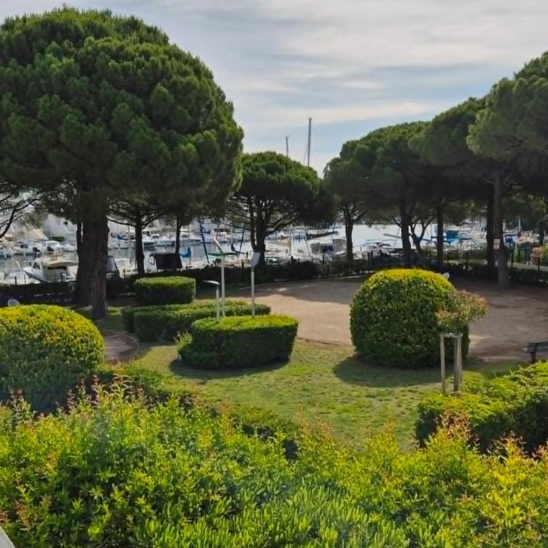 Port Camargue, vue marina, clim et parking - Apartamento de 2 dormitorios - 37