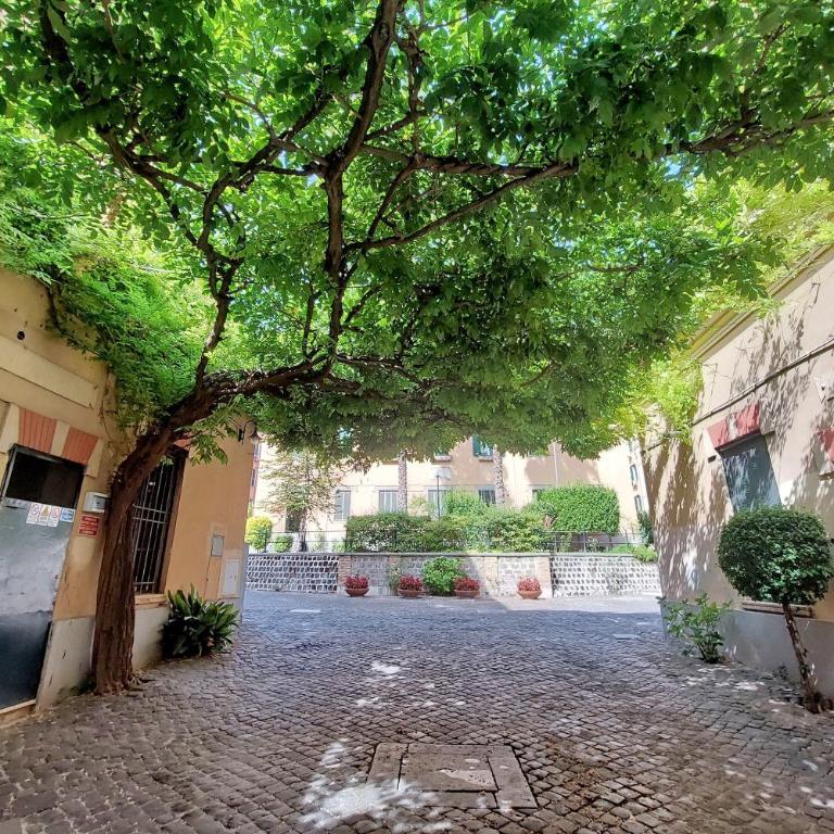 YCH-Appartamento luminoso giardino e pace a San Pietro - Appartamento con 2 Camere da Letto - 31