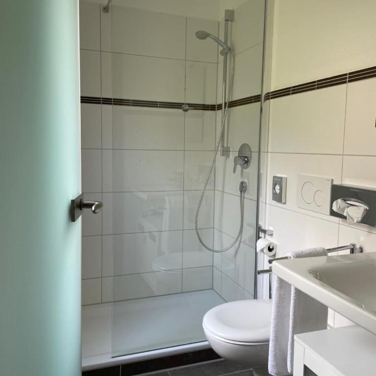 Alpenhotel Sonneck - mit Bergbahnticket - Standard Doppelzimmer - 3