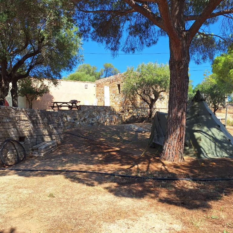 LE PAILLER 2P et 3 enfants sous le tipi - Studio - Vue sur Montagne - 15