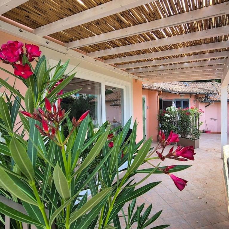 Casa Vaina - Appartamento con 1 Camera da Letto - 25