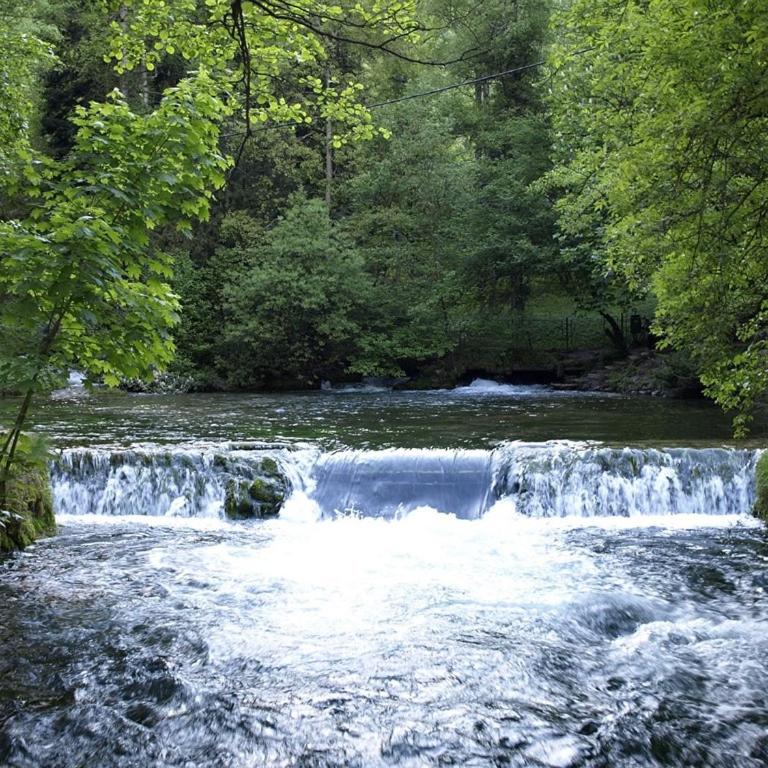 Villa Holiday DS near Sarajevo - Deluks Vila - 29