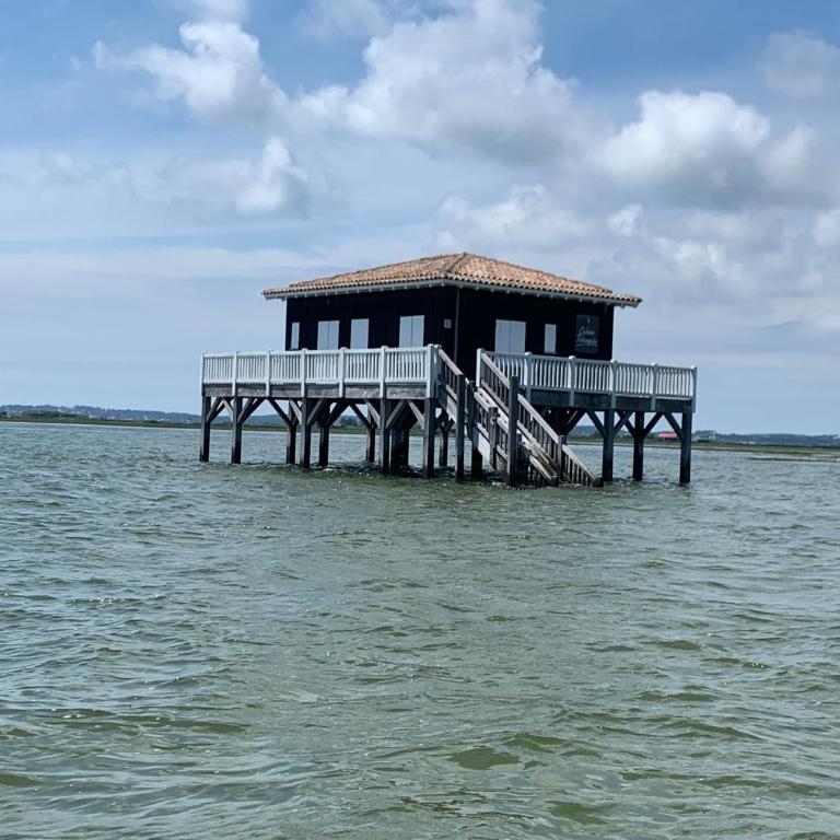 Cocon Plage et bassin - Haus mit 2 Schlafzimmern - 5