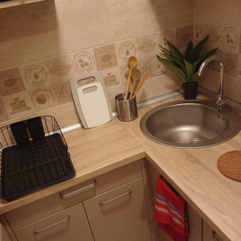 Belgrade Central Residence - Apartman sa 1 Spavaćom Sobom - 3