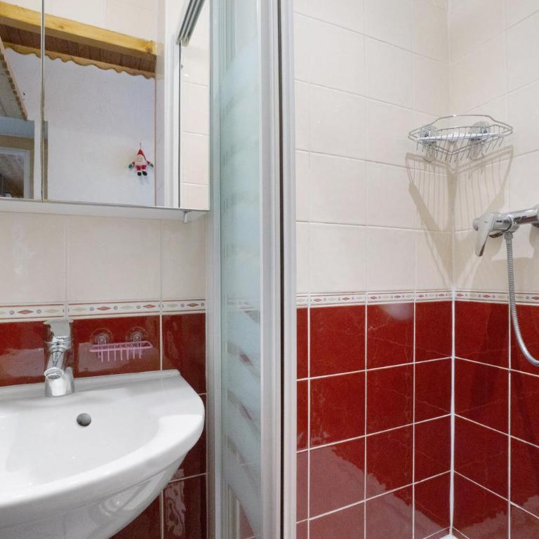 Studio cabine - Les ecrins 2 - Apartment with Shower - 17