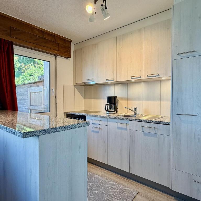 Magrappe M 647 - SKI LIFT apartment 5 pers - Apartment mit Blick auf die Berge - 14