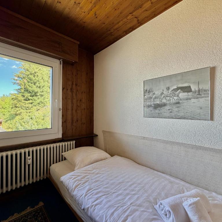 Magrappe M 647 - SKI LIFT apartment 5 pers - Apartment mit Blick auf die Berge - 20