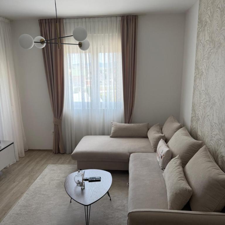 Durmitor Luxury Apartment - Apartman sa 1 Spavaćom Sobom - 7